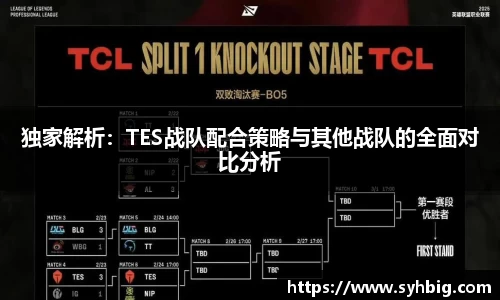 独家解析：TES战队配合策略与其他战队的全面对比分析